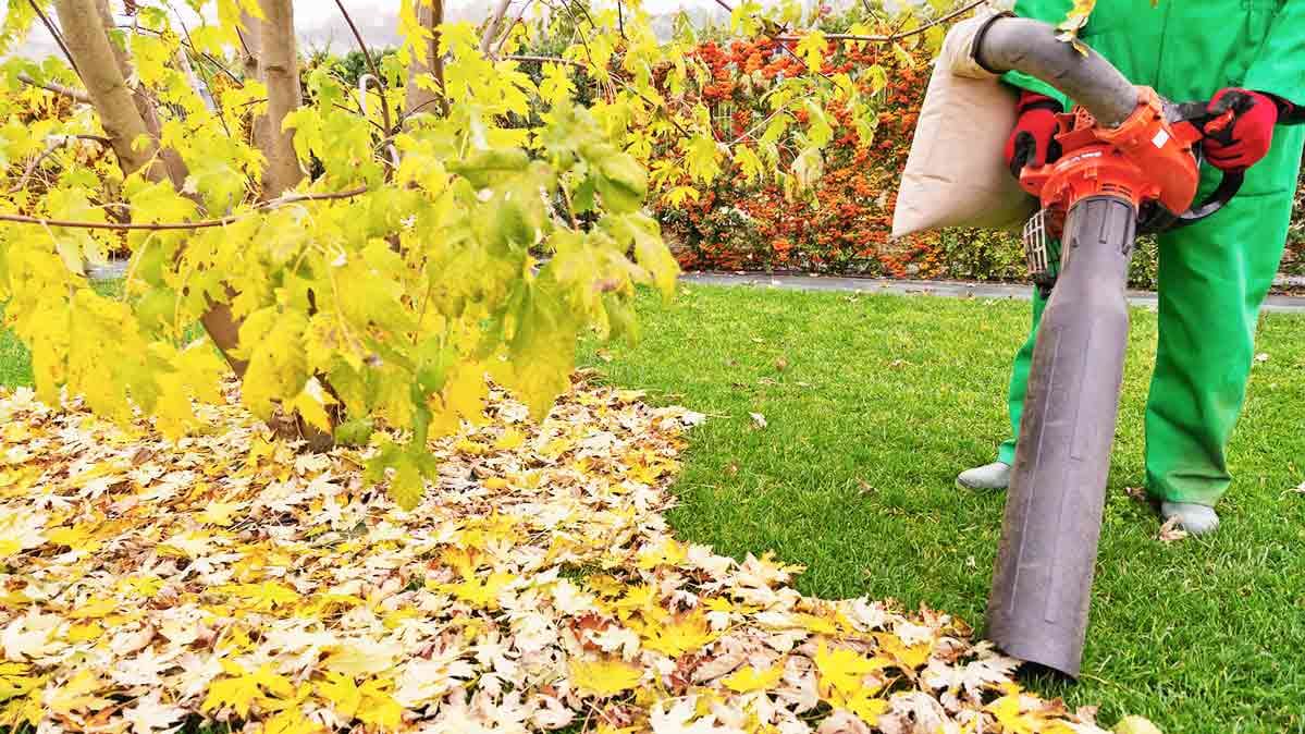 Leaf Mulcher Vacuums