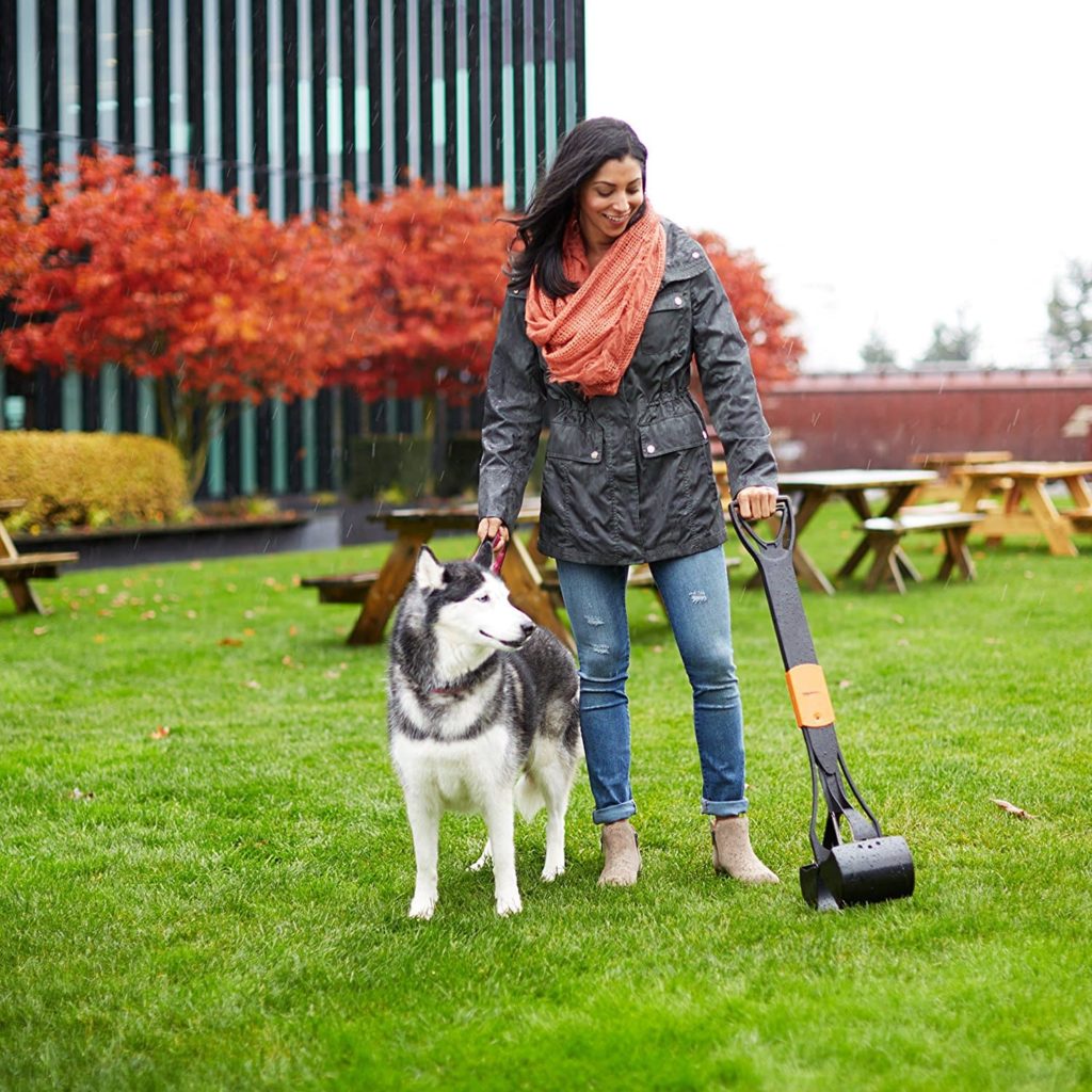 Best Pooper Scoopers in 2025