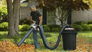 Best Leaf Mulcher Vacuums